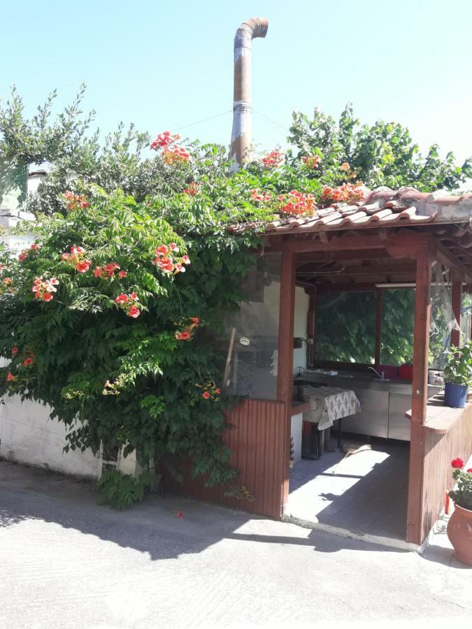 Stelios House